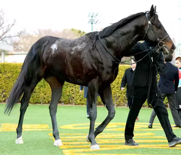 【佐賀記念】カゼノランナーが６馬身差をつけて重賞初制覇　１番人気のカズタンジャーは４着に敗れる
