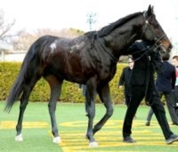 【佐賀記念】カゼノランナーが６馬身差をつけて重賞初制覇　１番人気のカズタンジャーは４着に敗れる