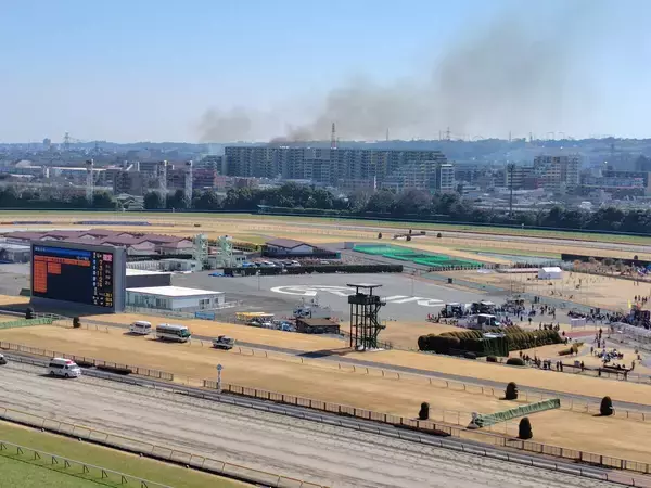 Ｇ１・フェブラリーＳを翌日に控えた東京競馬場付近で火事？　スタンドから見える黒煙にファンから心配の声
