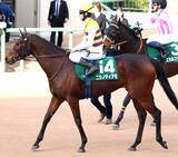 「【中山牝馬Ｓ】２番人気ニシノティアモは５連勝ならず　５着でも津村明秀騎手は「全く悲観する内容ではなかった」と手応え」の画像1