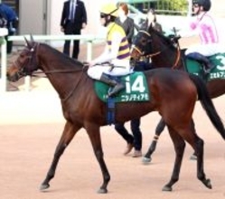 【中山牝馬Ｓ】２番人気ニシノティアモは５連勝ならず　５着でも津村明秀騎手は「全く悲観する内容ではなかった」と手応え