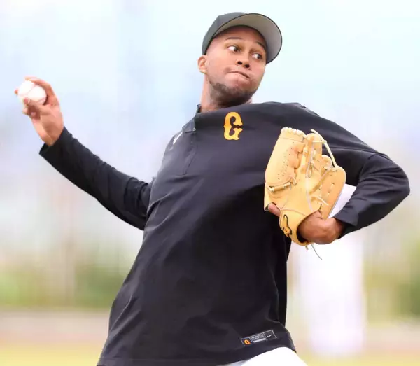 「【巨人】好投続くルシアーノ、復帰近いマルティネス　悩ましい１軍外国人枠」の画像