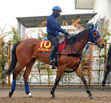 「【桜花賞】アネモネＳで３馬身差完勝のディアダイヤモンドは体調良好　中３週での出走にも手塚久調教師「いい雰囲気」」の画像1