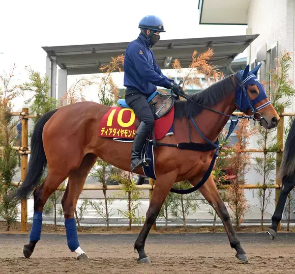 【桜花賞】アネモネＳで３馬身差完勝のディアダイヤモンドは体調良好　中３週での出走にも手塚久調教師「いい雰囲気」