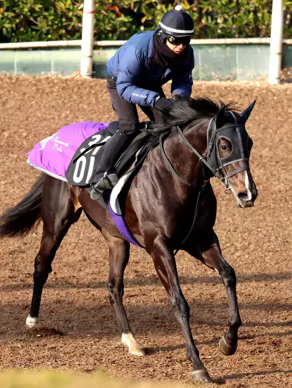 【注目馬動向】５・９億円馬エムズビギンは川田将雅騎手とのコンビ継続で京都新聞杯へ　友道調教師「距離は問題ない」
