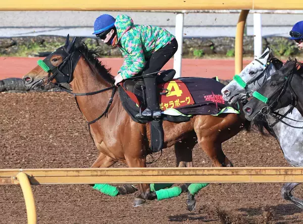 【桜花賞】ギャラボーグが持ったままで１ハロン１１秒２　杉山晴調教師「現状は右回りの方がいい」 　