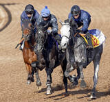「【皐月賞・１週前】きさらぎ賞勝ち馬のゾロアストロ　新コンビの岩田望来騎手を背に最先着　「思った通りにいい馬」」の画像1