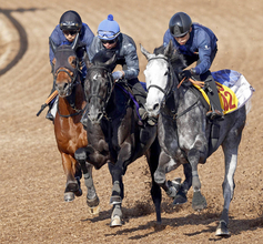 【皐月賞・１週前】きさらぎ賞勝ち馬のゾロアストロ　新コンビの岩田望来騎手を背に最先着　「思った通りにいい馬」