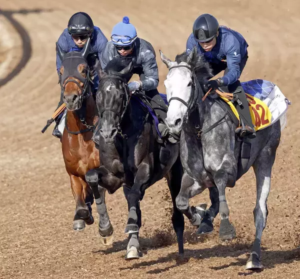 【皐月賞・１週前】きさらぎ賞勝ち馬のゾロアストロ　新コンビの岩田望来騎手を背に最先着　「思った通りにいい馬」