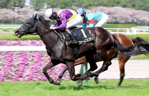 【明石特別】良血馬対決は痛み分け　ルメール騎手のアーモンドアイ息子も武豊騎手のキタサンブラック弟も勝利ならず