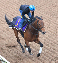 【皐月賞】サノノグレーターは２枠３番に決定　尾形調教師「上位争いを期待しています」