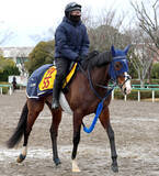 「【注目馬動向】ボンドガールはヴィクトリアＭが本線も新潟大賞典も視野に」の画像1