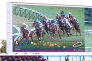 ＪＲＡがトラッキングシステムの対象レースを拡大へ　新馬戦、障害戦も対象に