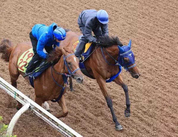 【中京記念】重賞初Ｖ狙うカネラフィーナは坂路で軽め　手塚久調教師「状態はいいので、あとは展開と適性がどうか」