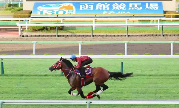 フォーエバーヤングが芝で初の追い切り、「初めてと思えないぐらい…」坂井瑠星騎手も驚く１０秒８