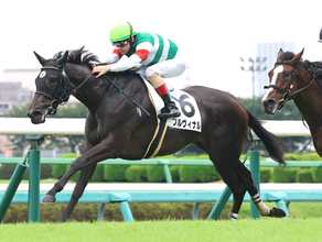 【中山５Ｒ・２歳新馬】良血プルヴィナルが単勝１・６倍に応えて快勝　ルメール騎手は絶賛「全部が良かった」