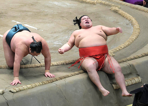 十両の嘉陽が４敗目も優勝争いは千秋楽へもつれ込む　「優勝？　全然考えていません」