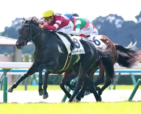 １・７億円馬が下馬評通りの好発進に「完璧な進路取り 」「姉の悔しさを…」　京都で勝ち上がったキューティボンド