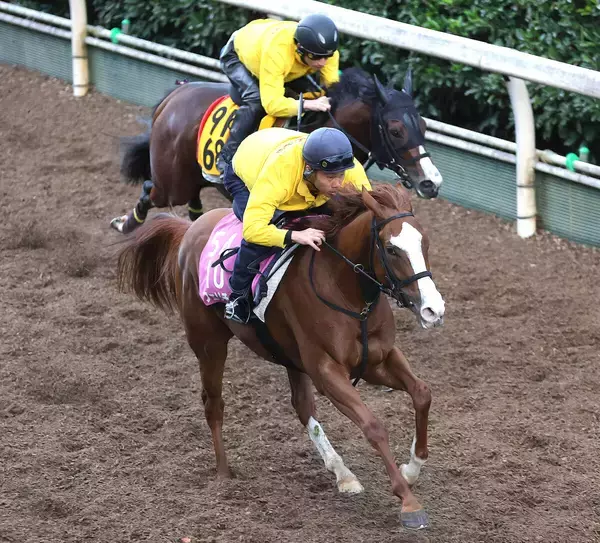 【ファンタジーＳ・調教後談話】函館２歳Ｓ覇者フェリチタ陣営は「１４００メートルも問題ない」　「人気はないけど…」色気見せるのは？