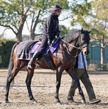 「【有馬記念】キャリア３２戦目で初出走　回避馬が出て１６番目に繰り上がったアラタ　陣営「出れると信じて作ってきた」」の画像1