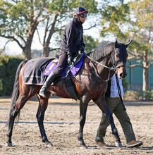 【有馬記念】キャリア３２戦目で初出走　回避馬が出て１６番目に繰り上がったアラタ　陣営「出れると信じて作ってきた」