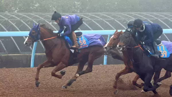 【東京大賞典】来年の海外遠征目指すミッキーファイト　田中博調教師「弾みをつけたい一戦」