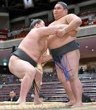 「序ノ口・福福丸、本名から改めたしこ名の由来を明かす「福をいっぱい集めて」」の画像1