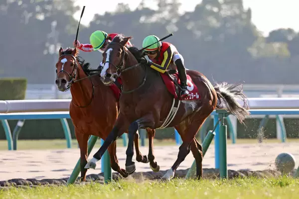 【日経新春杯】強い４歳世代から新星　ゲルチュタールが重賞初Ｖ　坂井瑠星騎手は８年連続の重賞勝利