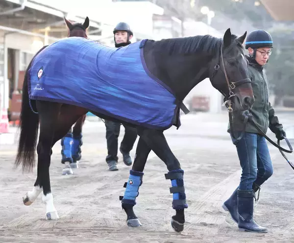 【根岸Ｓ】“偉大な先輩”の背中を追いかけるウェイワードアクト　レモンポップと重なる飛躍への道