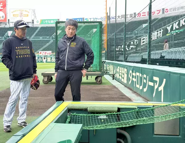 【阪神】甲子園球場の担当者「衝撃があっても耐えられる素材」一、三塁側のカメラマン席に転落防止ネット設置「完成形ではない」