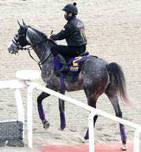 【注目馬動向】「選択肢の一つです」凱旋門賞登録のアドマイヤテラの秋は３択　国内路線に加え、もう一つ目標のレースとは…
