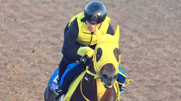 【シリウスＳ】ヴァルツァーシャルが距離延長で重賞２勝目狙う　陣営「じっくりいける点でいい」