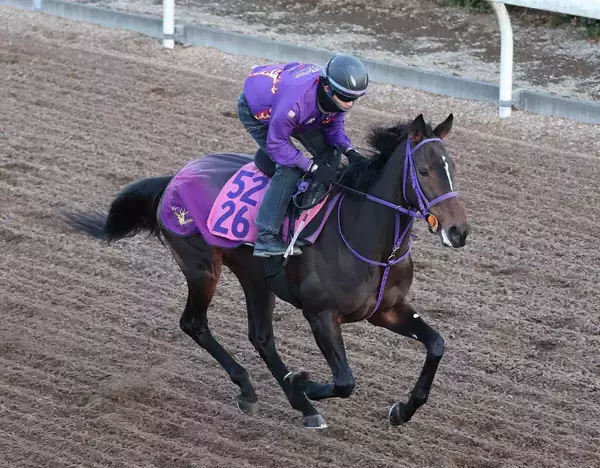 【フェアリーＳ】唯一の２勝馬サンアントワーヌは５枠９番　ギリーズボールは６枠１２番　枠番確定
