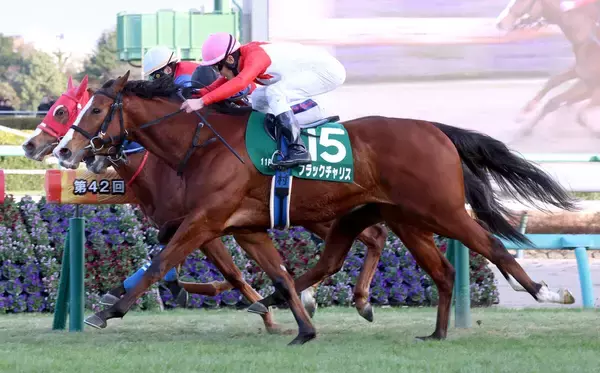 【フェアリーＳ】ブラックチャリスが重賞初制覇　津村明秀騎手は２週連続重賞Ｖ「最高ですね」