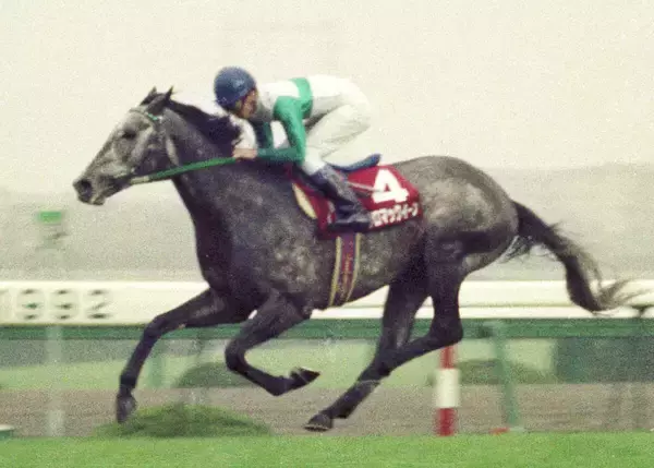 【金鯱賞】バースデー勝利を狙う武豊騎手　過去の誕生日は９２年阪神大賞典メジロマックイーンなど重賞４勝