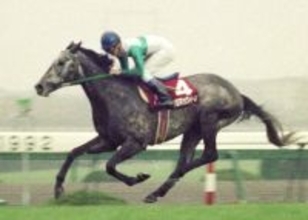 【金鯱賞】バースデー勝利を狙う武豊騎手　過去の誕生日は９２年阪神大賞典メジロマックイーンなど重賞４勝