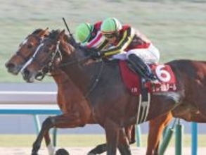 【注目馬動向】日経新春杯勝ち馬ゲルチュタールの天皇賞・春参戦は白紙へ　左前脚の蹄の痛みで調整が遅れたため