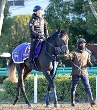 【皐月賞】「チャンスがある馬は初めて。思い入れが違います」津村明秀がリアライズシリウスと初クラシック狙う