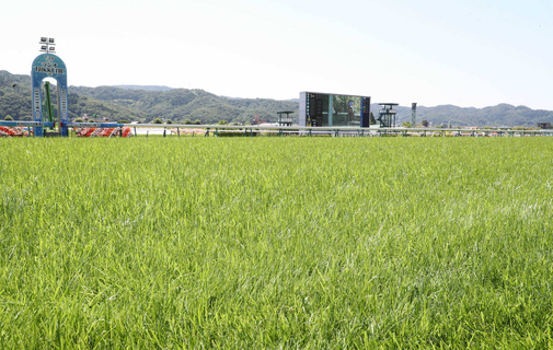 日曜福島競馬場の注目激走馬…福島１１Ｒモルガナイトステークス