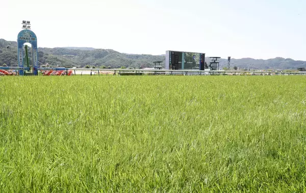 日曜福島競馬場の注目激走馬…福島１１Ｒモルガナイトステークス