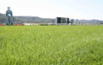 日曜福島競馬場の注目激走馬…福島１１Ｒモルガナイトステークス