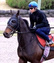 【Ｇ1・1週前まとめ】母子制覇を狙う良血アランカール、武豊を背にスピード感抜群の走り「状態は良さそうですね」　オークス