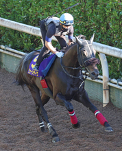 【注目馬動向】ジューンテイクは秋にバーレーン遠征などが選択肢　ジューンブレアは昨年２着のスプリンターズＳに直行