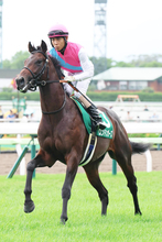 【函館２歳Ｓ】まさかの１２着惨敗に北村友一騎手「コーナーでは倒れ込むような…」　３番人気のロンドンガーズ