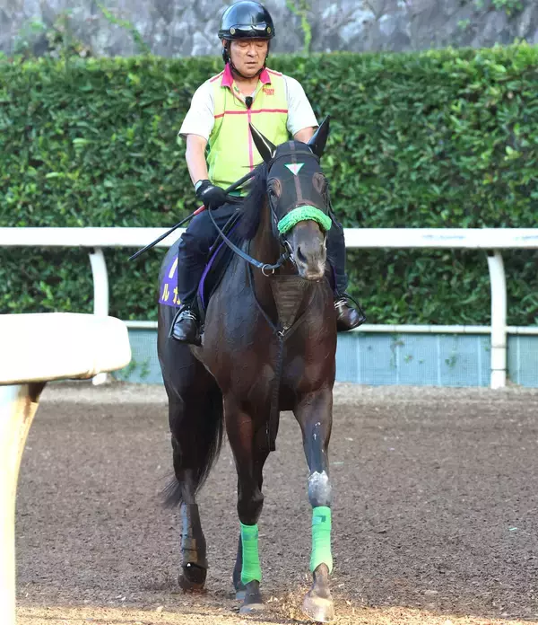 【注目馬動向】ルガルは選出されればマーフィー騎手でＢＣマイルへ　ジョバンニは松山弘平騎手で天皇賞・秋に参戦