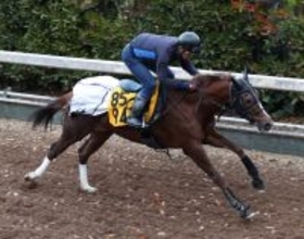 土曜中山競馬場の注目激走馬…中山１１Ｒステイヤーズステークス・Ｇ２