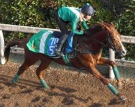 【中日新聞杯】堅実無比なシェイクユアハートに宮調教師も手応え　「今は具合がいい。前走だって強い競馬」