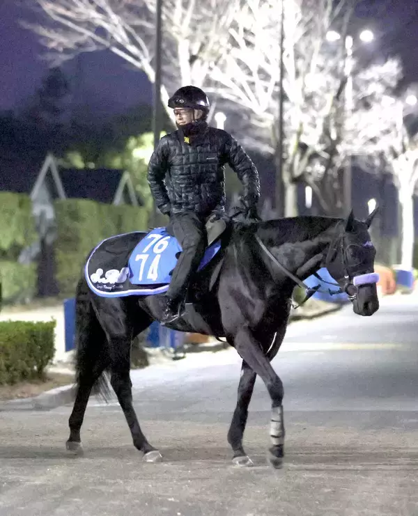 【注目馬動向】京都金杯勝ちのブエナオンダは横山武史騎手で東京新聞杯へ　クイーンＣ目指す白毛のマルガは来週帰厩へ