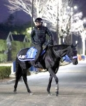 【注目馬動向】京都金杯勝ちのブエナオンダは横山武史騎手で東京新聞杯へ　クイーンＣ目指す白毛のマルガは来週帰厩へ