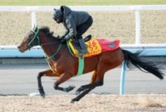 【日経新春杯】「ファン投票をしてくれた多くの方のためにも」と相沢調教師　有馬記念無念の除外ライラック切れのある動き　